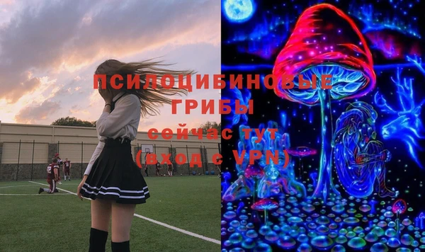 крисы Алексеевка