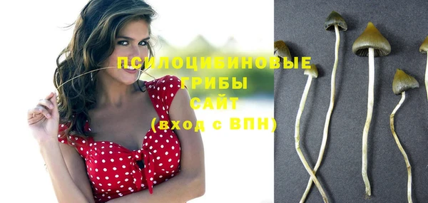 крисы Алексеевка